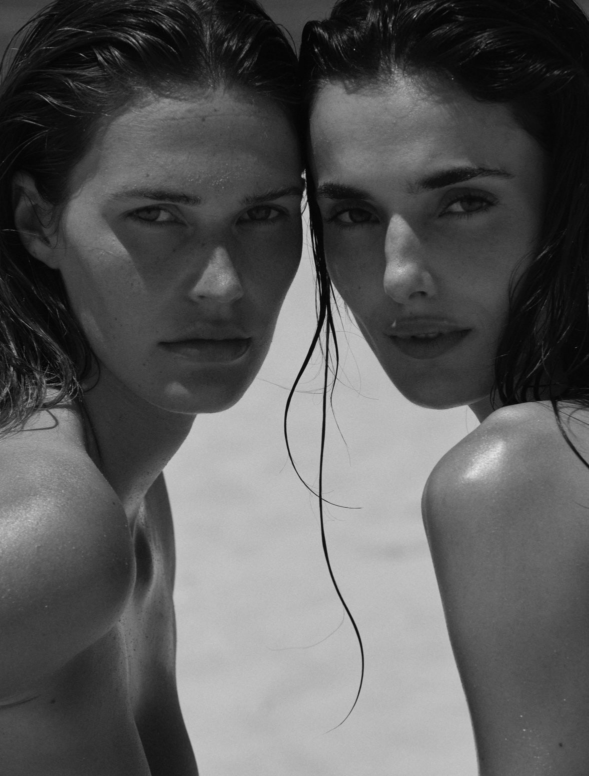 All You Need Multipurpose Oil